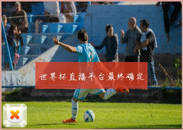 世界杯直播平台最终确定