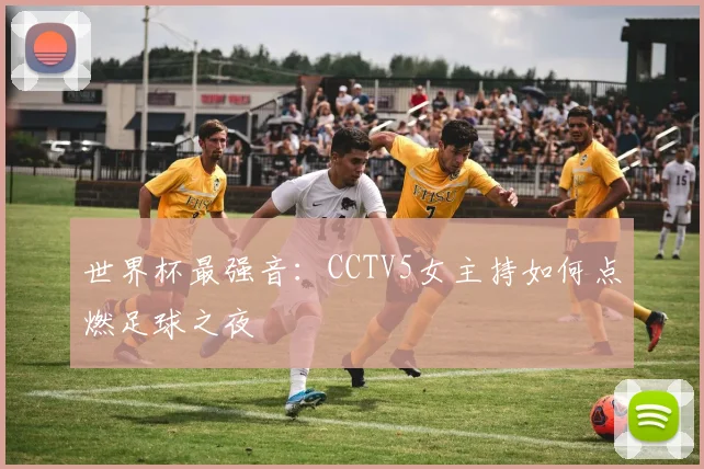 世界杯最强音：CCTV5女主持如何点燃足球之夜