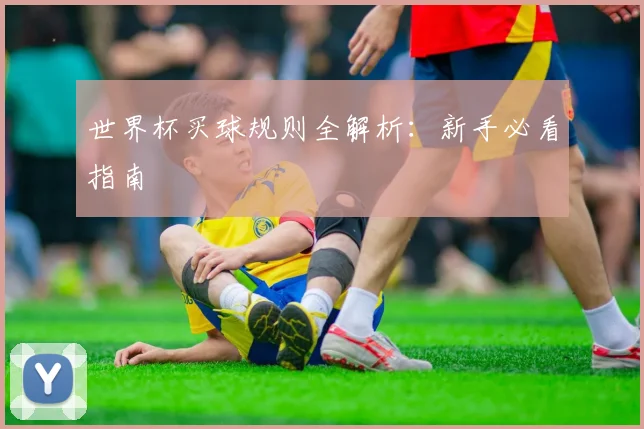 世界杯买球规则全解析：新手必看指南