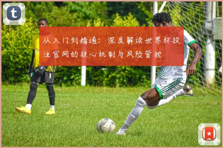 从入门到精通:深度解读世界杯投注官网的核心机制与风险管控
