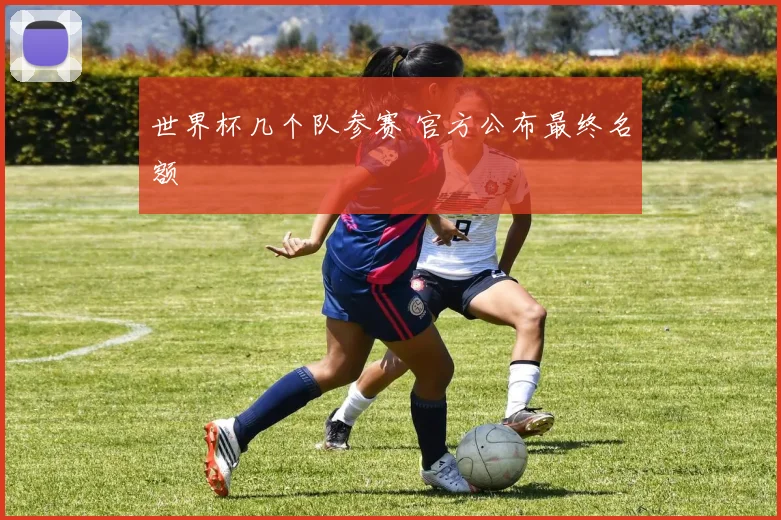 世界杯几个队参赛 官方公布最终名额