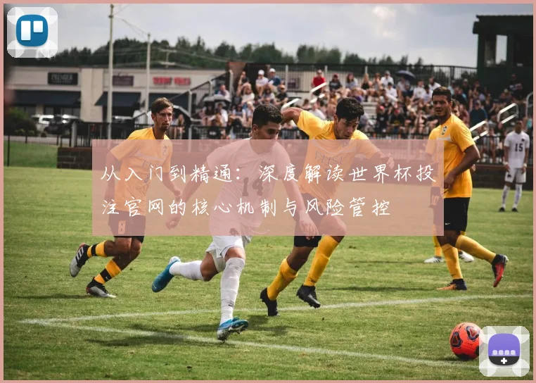 从入门到精通:深度解读世界杯投注官网的核心机制与风险管控