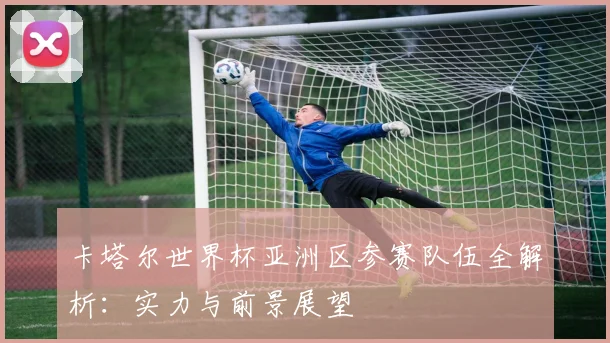 卡塔尔世界杯亚洲区参赛队伍全解析：实力与前景展望