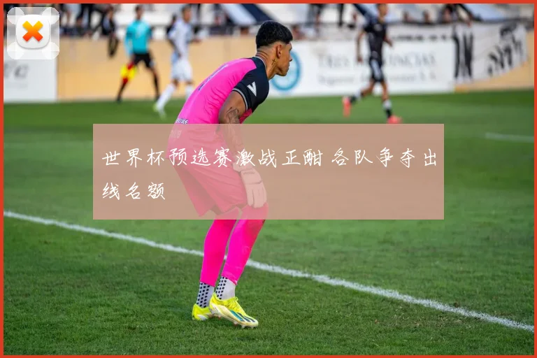 世界杯预选赛激战正酣 各队争夺出线名额