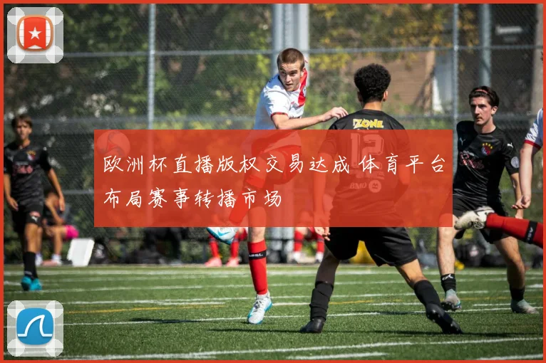 欧洲杯直播版权交易达成 体育平台布局赛事转播市场